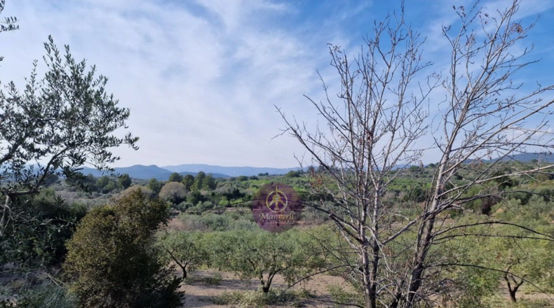 Tarragona - Reus - 27000m2