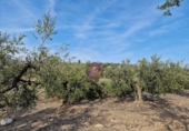 Rural estate for sale in Reus ref: TR393904 photo