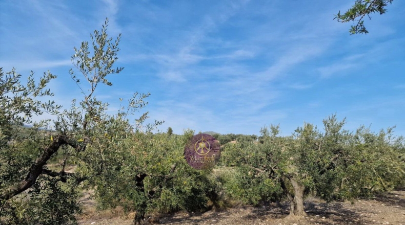 Tarragona - Reus - 27000m2