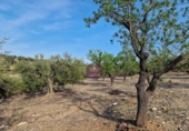 Rural estate for sale in Reus ref: TR393904 photo