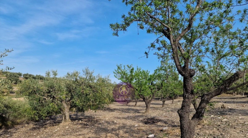 Tarragona - Reus - 27000m2
