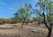 Rural estate for sale in Reus ref: TR393904 photo
