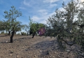 Rural estate for sale in Reus ref: TR393904 photo