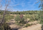 Rural estate for sale in Reus ref: TR393904 photo