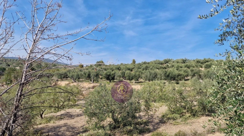 Tarragona - Reus - 27000m2