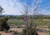 Rural estate for sale in Reus ref: TR393904 photo