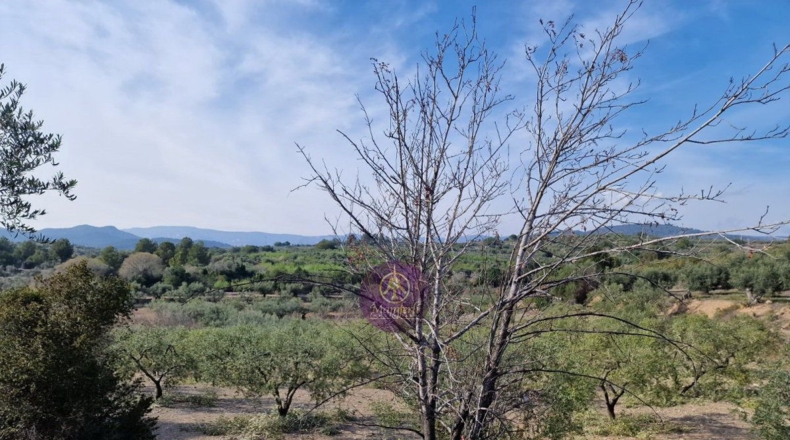Tarragona - Reus - 27000m2