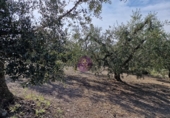 Rural estate for sale in Reus ref: TR393904 photo