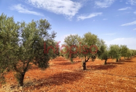 Valdepeñas 220000&nbsp;m² 