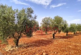 Valdepeñas 220000&nbsp;m² 
