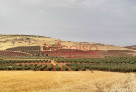 Valdepeñas 220000&nbsp;m² 