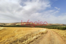 Valdepeñas 220000&nbsp;m² 