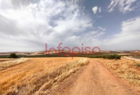 Valdepeñas 220000&nbsp;m² 