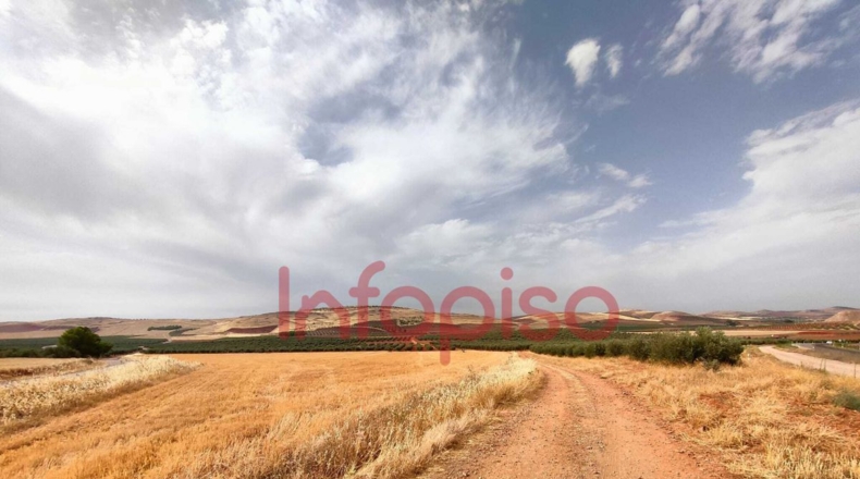 Ciudad Real - Valdepeñas - 220000m2