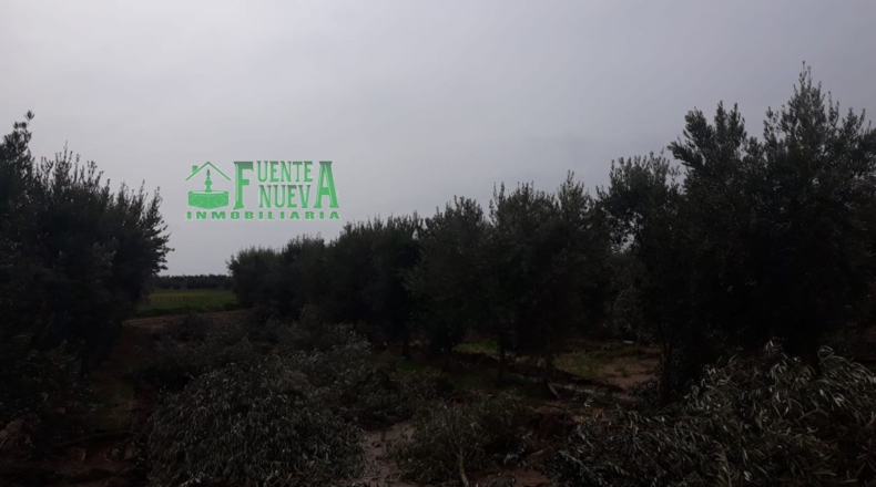Badajoz - Badajoz - 173876m2