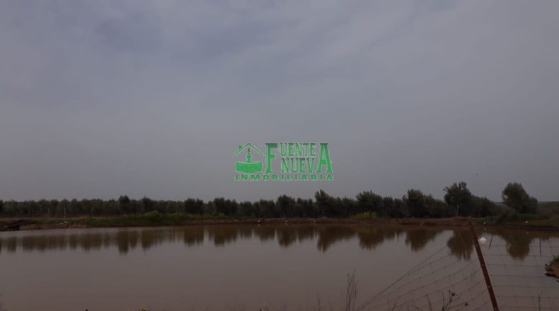 Badajoz - Badajoz - 173876m2