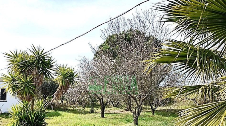 Badajoz - Zafra - 4600m2