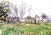 Xalet independent amb terreny en venda a Fregenal de la Sierra ref.: TR385434 foto