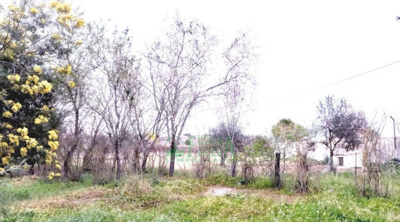 Badajoz - Fregenal de la Sierra - 9621m2