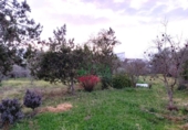 Xalet independent amb terreny en venda a Fregenal de la Sierra ref.: TR385434 foto