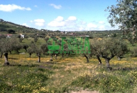 Segura de León 5000&nbsp;m² 