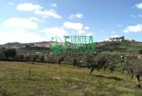 Segura de León 5000&nbsp;m² 