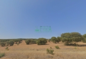 Non-developable land for sale in Campillo de Llerena ref: TR386728 photo