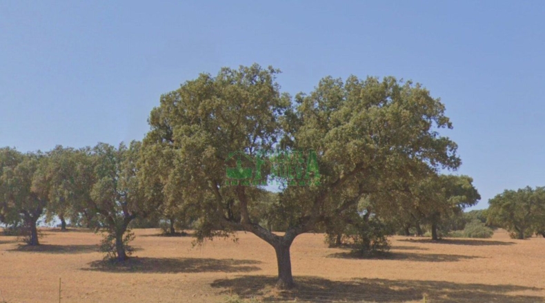 Badajoz - Campillo de Llerena - 1700000m2