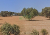 Non-developable land for sale in Campillo de Llerena ref: TR386728 photo