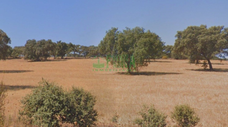 Badajoz - Campillo de Llerena - 1700000m2