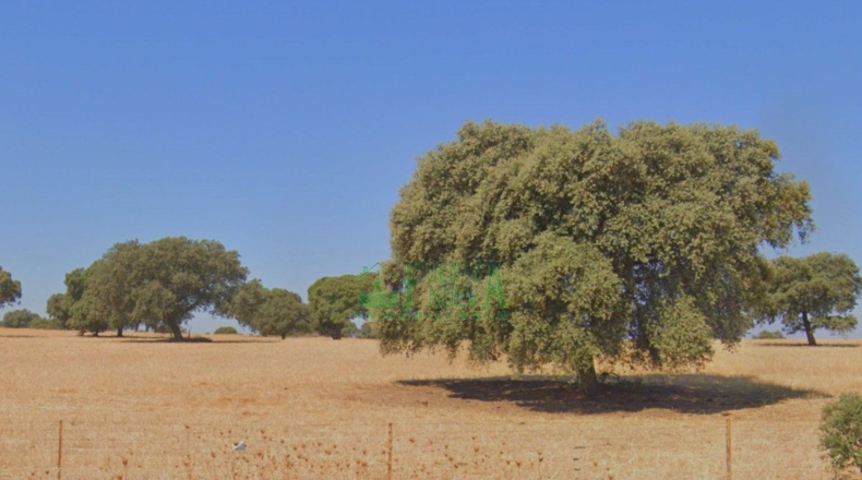 Badajoz - Campillo de Llerena - 1700000m2