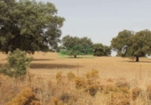Non-developable land for sale in Campillo de Llerena ref: TR386728 photo