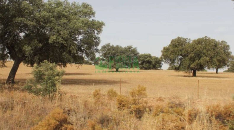 Badajoz - Campillo de Llerena - 1700000m2