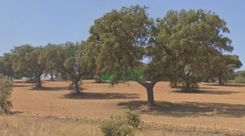 Badajoz - Campillo de Llerena - 1700000m2