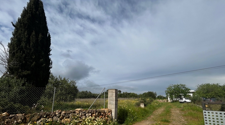 Islas Baleares - Sineu - 7786m2