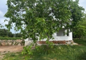 Country house with land for sale in Sineu ref: TR385577 photo