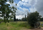 Country house with land for sale in Sineu ref: TR385577 photo