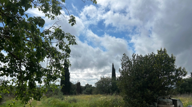 Islas Baleares - Sineu - 7786m2
