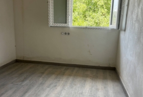 Синеу 7786&nbsp;м²