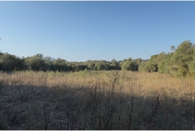 Algaida 16000&nbsp;m² 