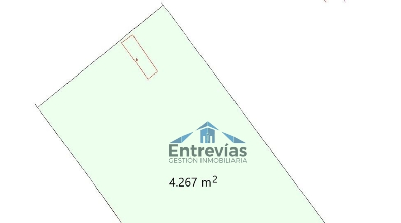 Murcia - Murcia - 4300m2