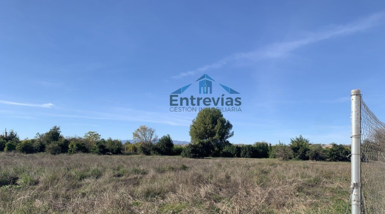 Murcia - Murcia - 1476m2
