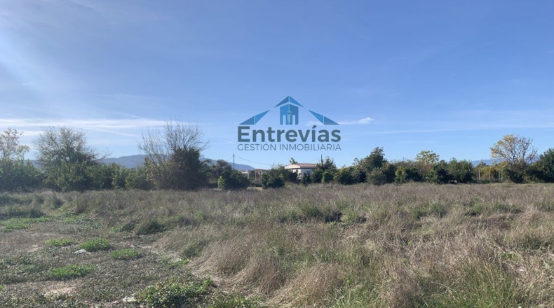 Murcia - Murcia - 1476m2