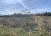 Земля на продажу у города San Javier. Фото