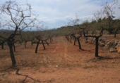 Finca rústica en venta en Geldo ref: TR393905 foto