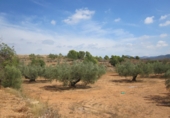 Finca rústica en venta en Geldo ref: TR393905 foto