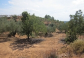 Finca rústica en venta en Geldo ref: TR393905 foto