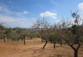 Finca rústica en venta en Geldo ref: TR393905 foto
