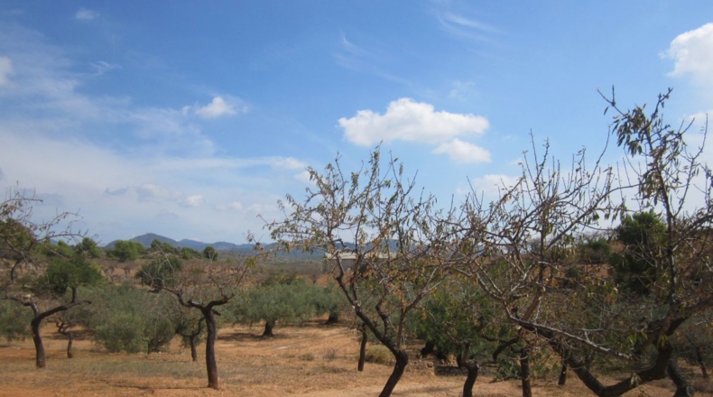 Castellón - Geldo - 27000m2