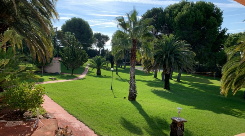 Castellón - Alcalá de Chivert - 13600m2